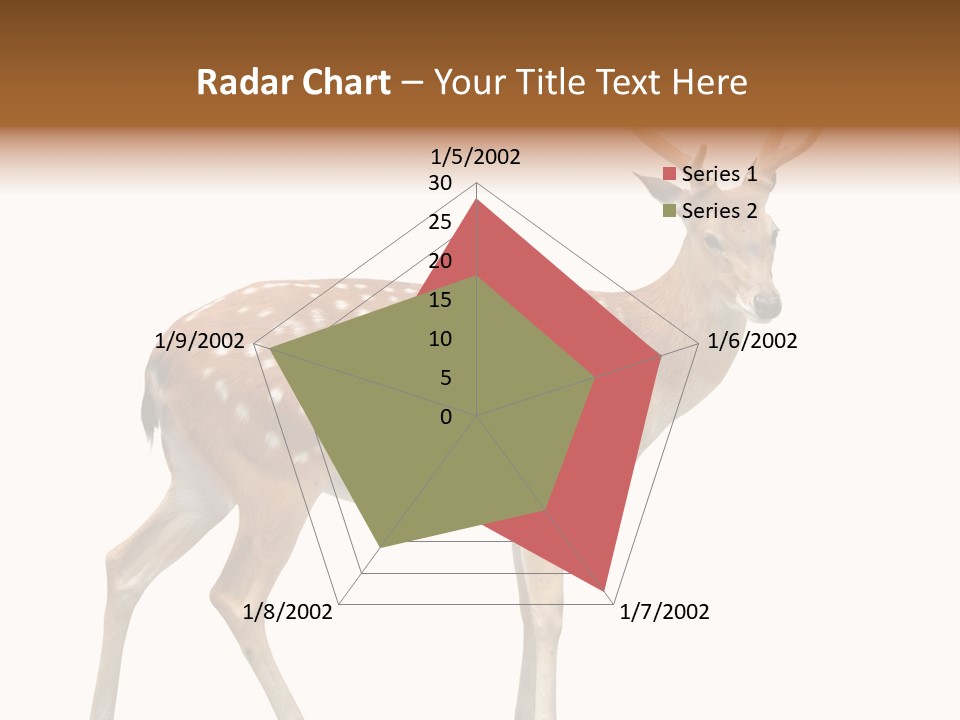Wildlife Nature Cute PowerPoint Template