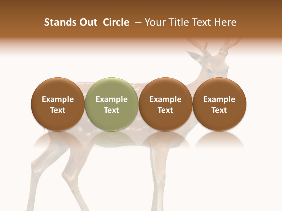 Wildlife Nature Cute PowerPoint Template