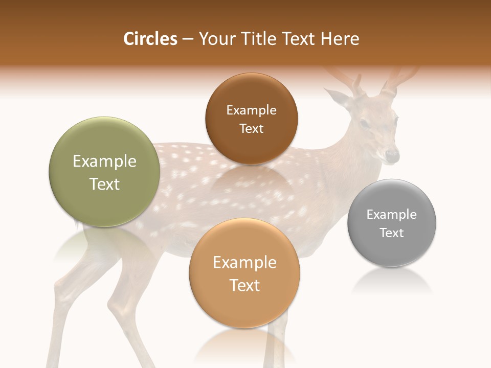 Wildlife Nature Cute PowerPoint Template