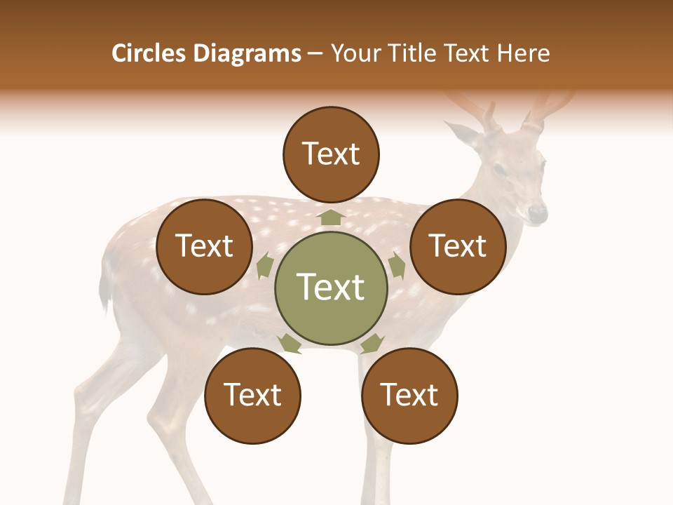 Wildlife Nature Cute PowerPoint Template