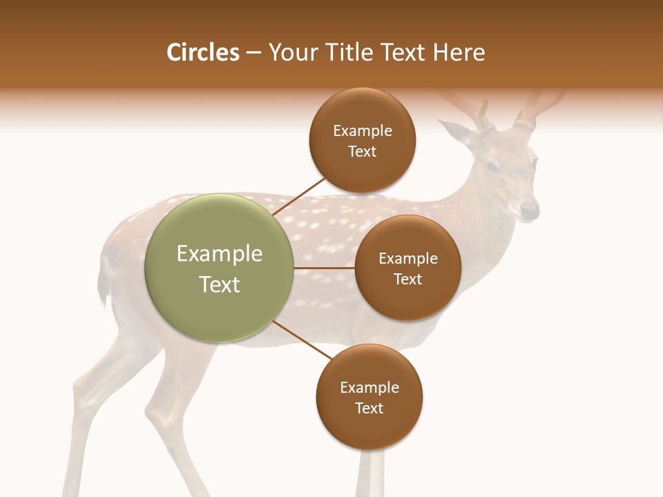 Wildlife Nature Cute PowerPoint Template