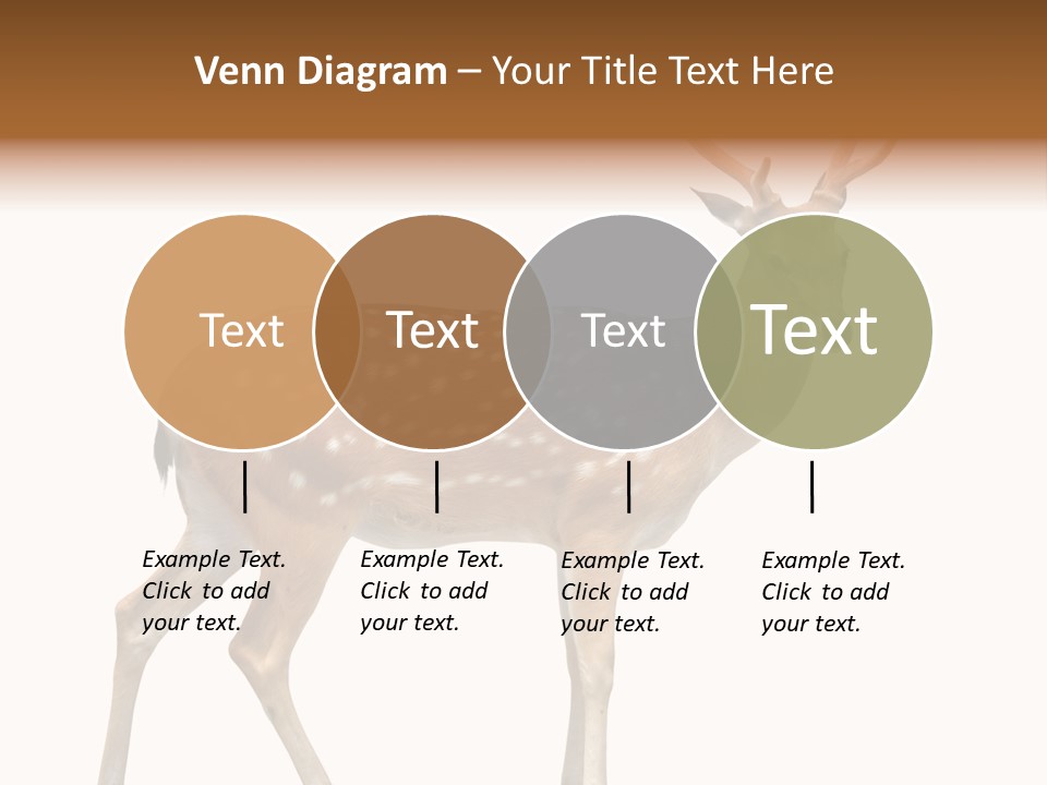 Wildlife Nature Cute PowerPoint Template