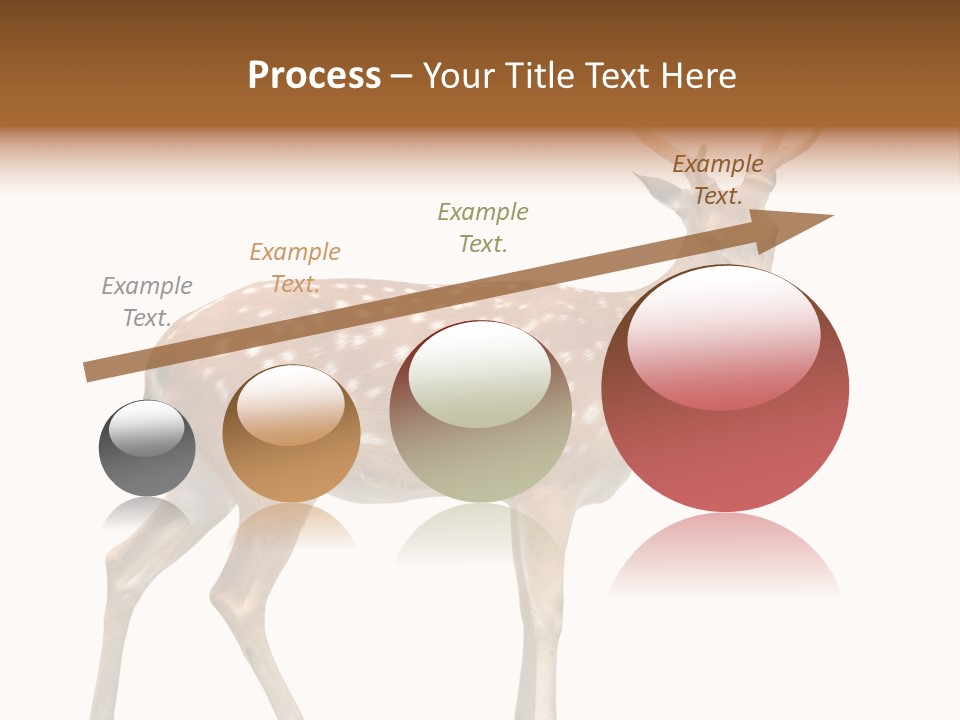 Wildlife Nature Cute PowerPoint Template