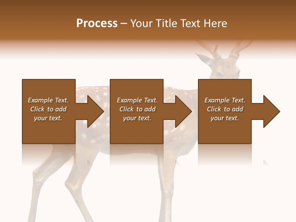 Wildlife Nature Cute PowerPoint Template