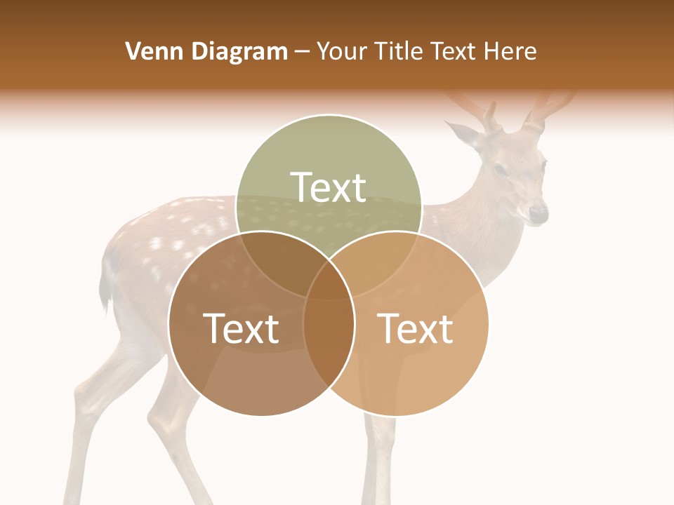 Wildlife Nature Cute PowerPoint Template