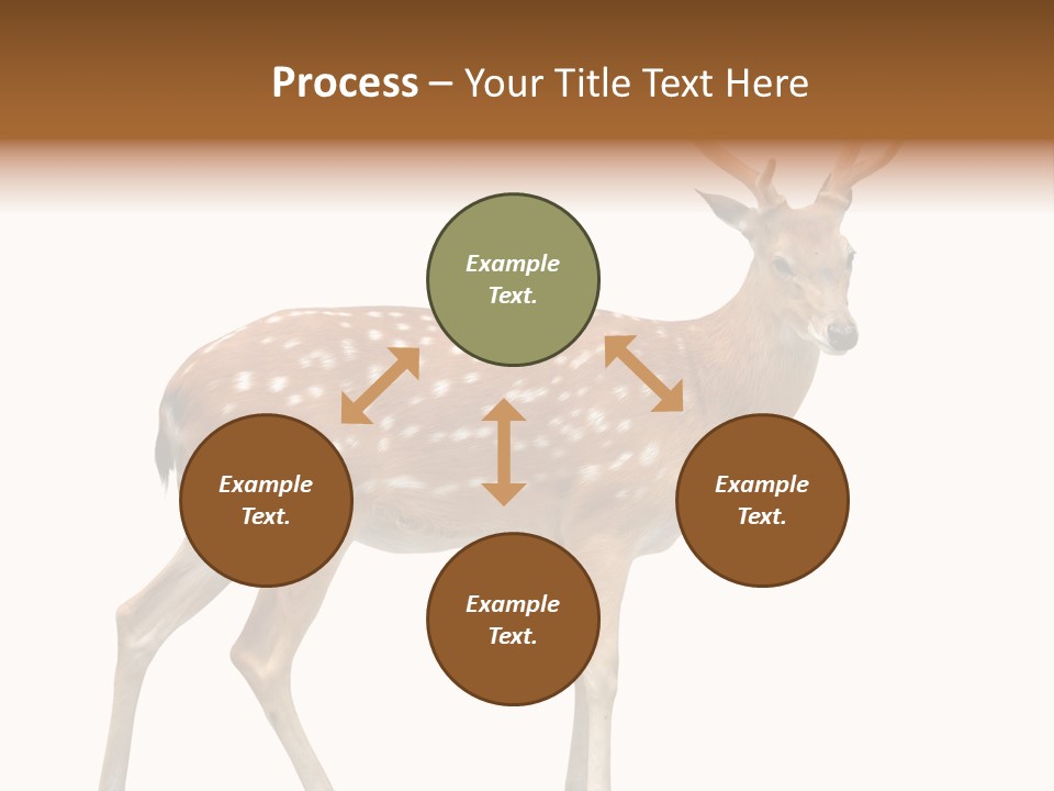 Wildlife Nature Cute PowerPoint Template