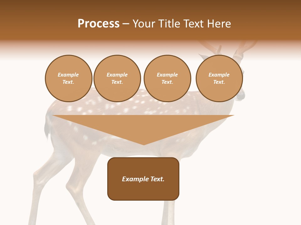 Wildlife Nature Cute PowerPoint Template