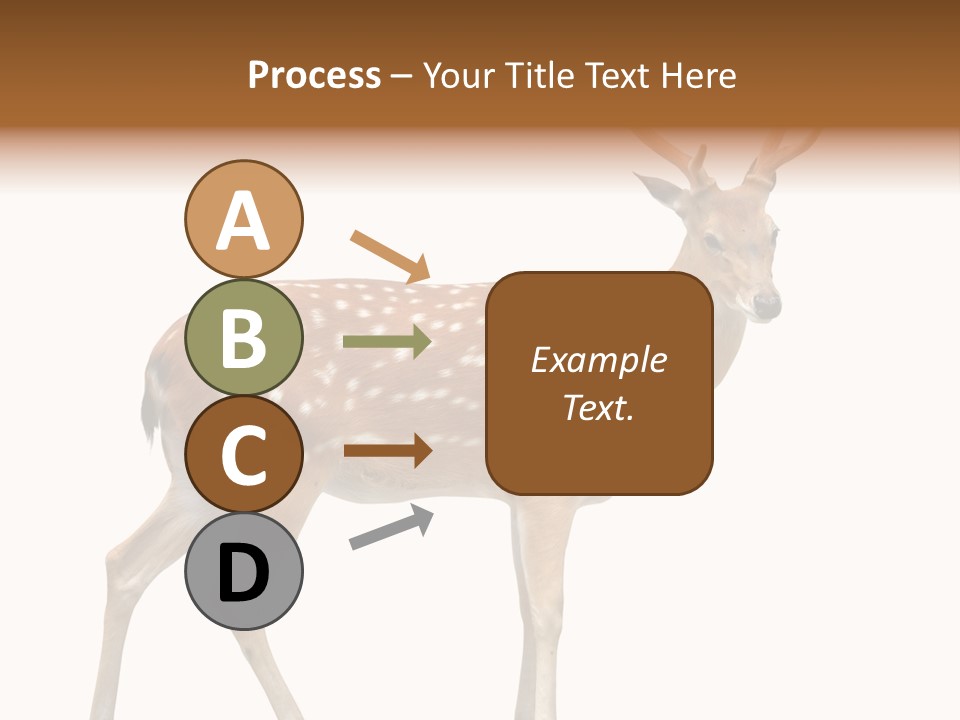 Wildlife Nature Cute PowerPoint Template