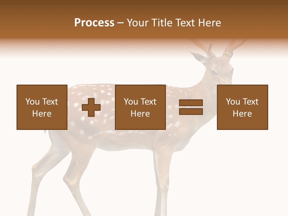 Wildlife Nature Cute PowerPoint Template