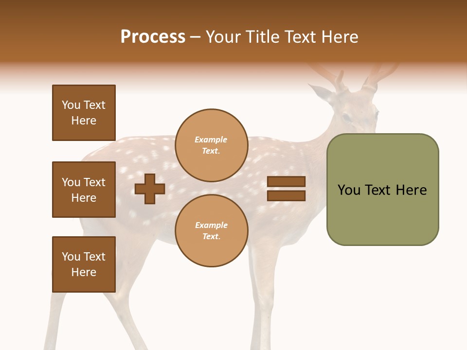 Wildlife Nature Cute PowerPoint Template
