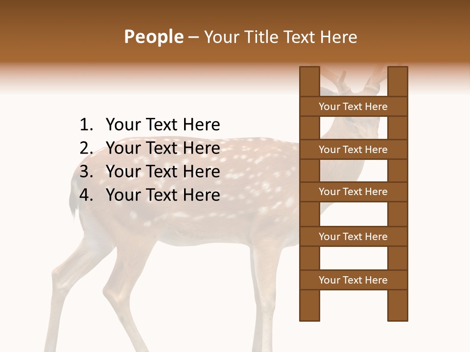 Wildlife Nature Cute PowerPoint Template