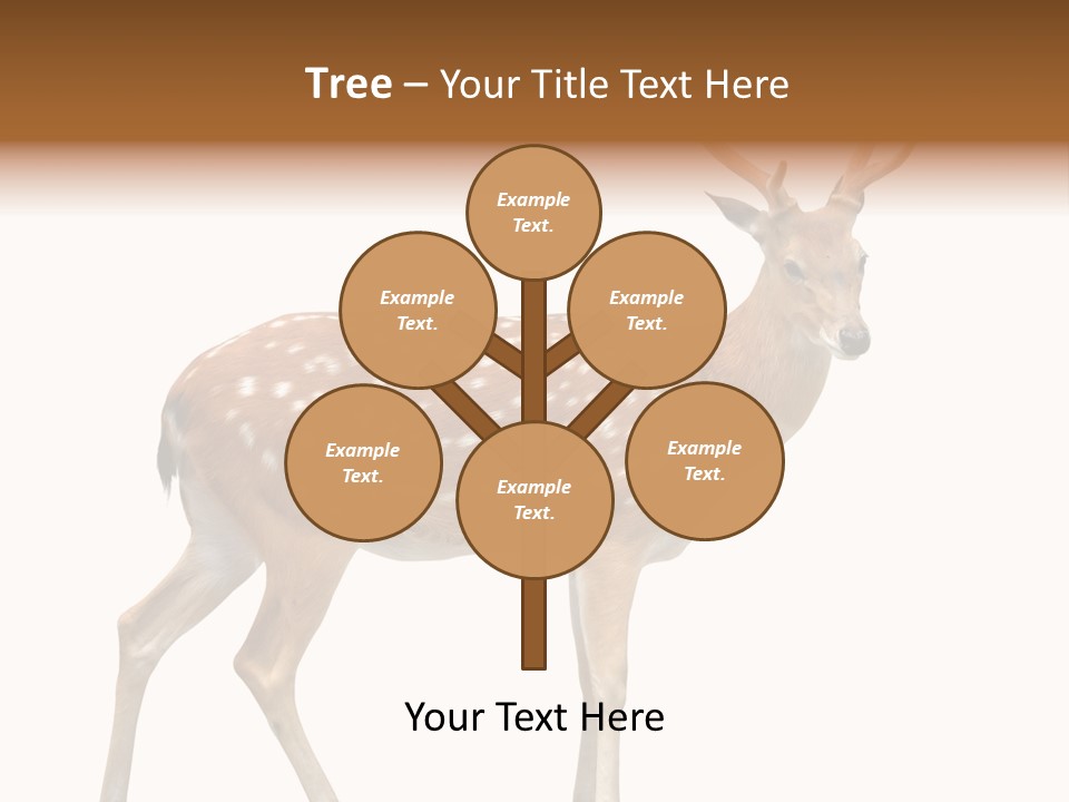 Wildlife Nature Cute PowerPoint Template