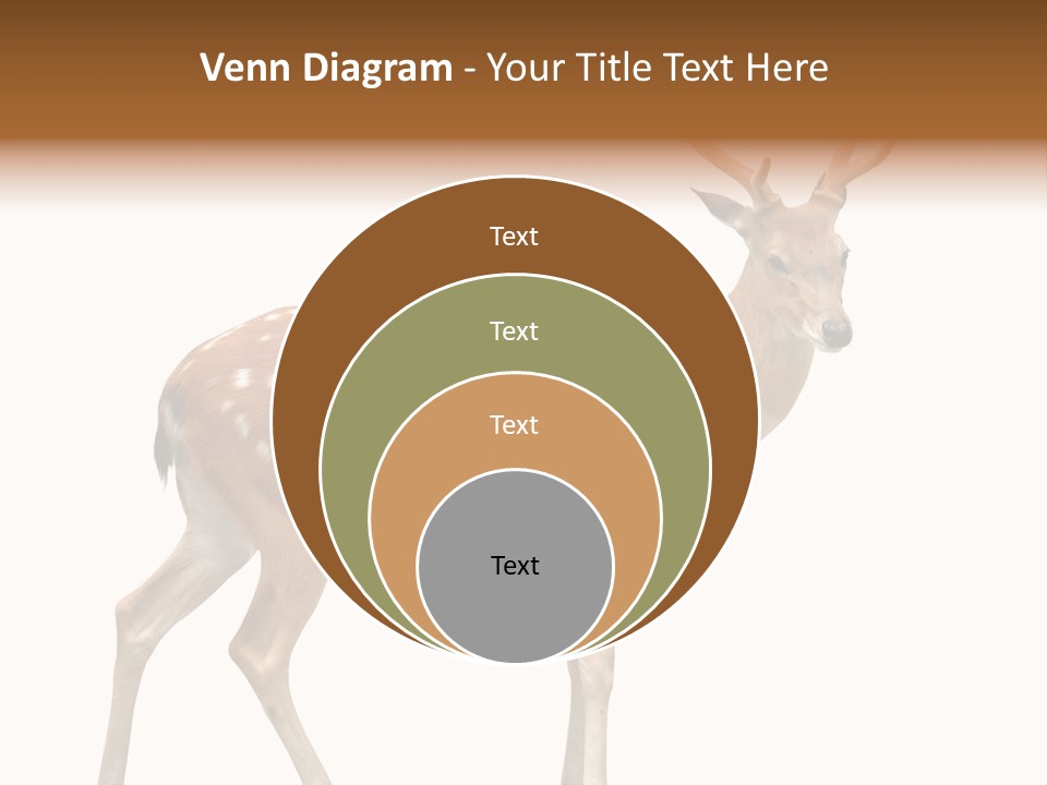 Wildlife Nature Cute PowerPoint Template