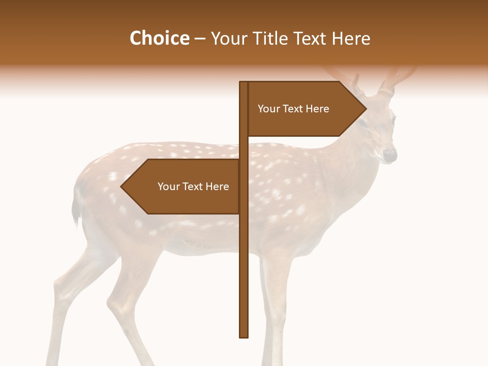 Wildlife Nature Cute PowerPoint Template