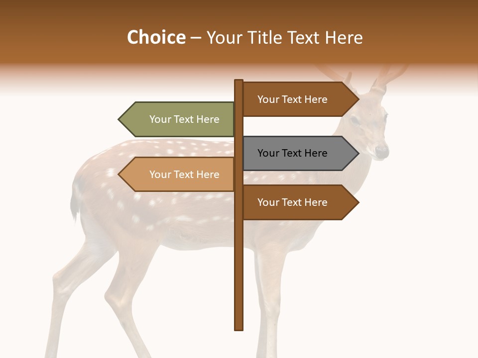 Wildlife Nature Cute PowerPoint Template