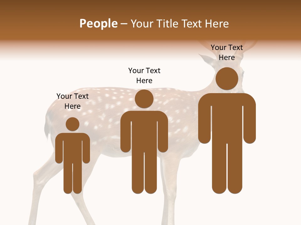 Wildlife Nature Cute PowerPoint Template