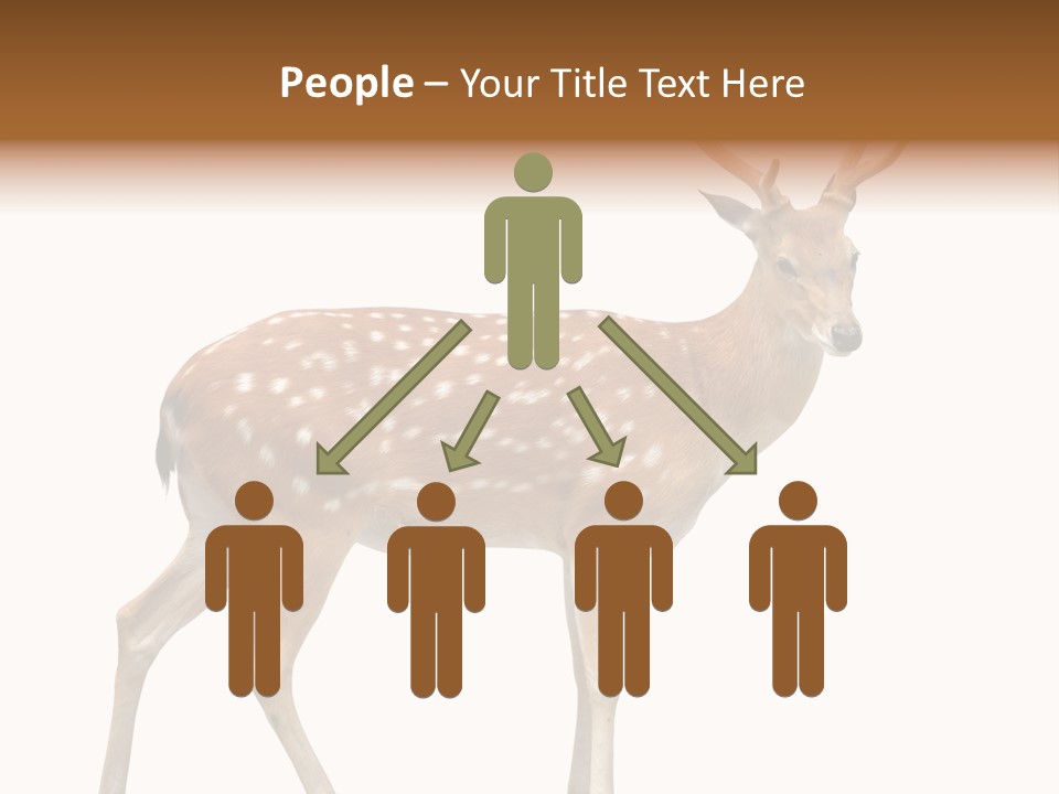 Wildlife Nature Cute PowerPoint Template