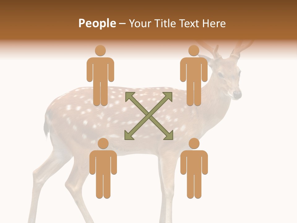 Wildlife Nature Cute PowerPoint Template