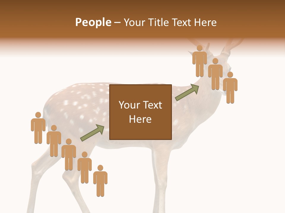 Wildlife Nature Cute PowerPoint Template