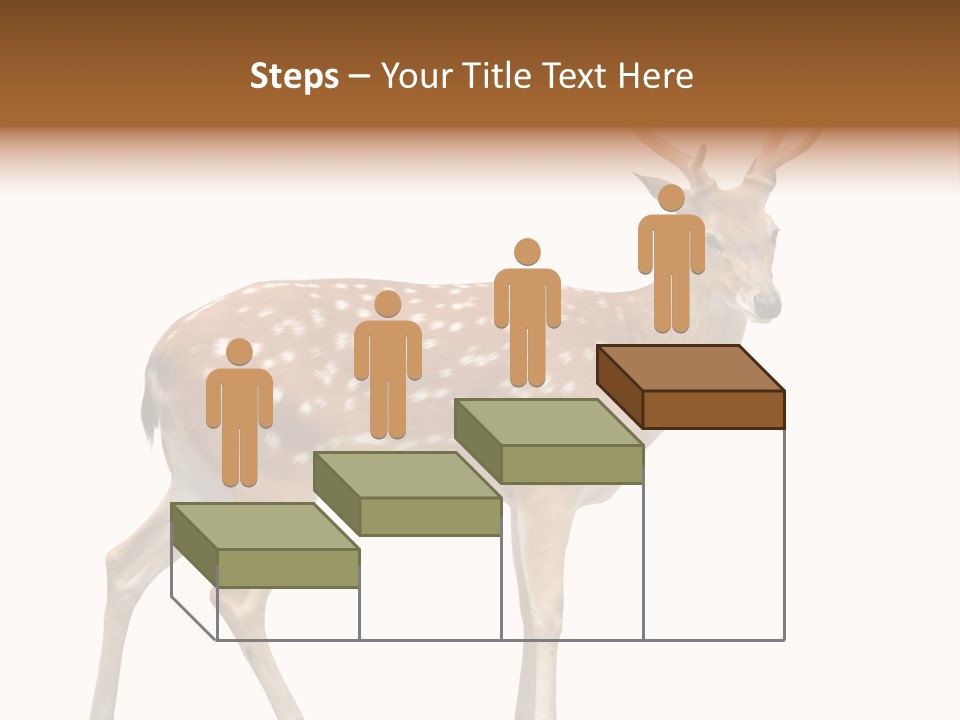 Wildlife Nature Cute PowerPoint Template