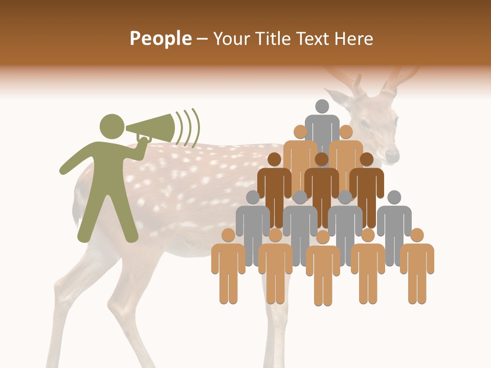 Wildlife Nature Cute PowerPoint Template