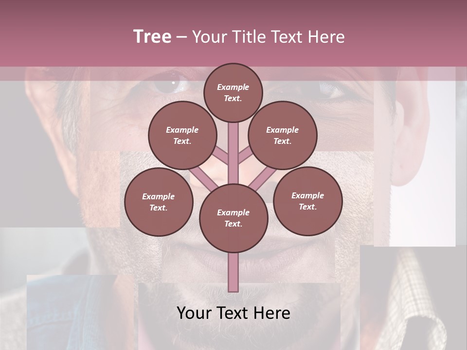 Concept Many Lines PowerPoint Template