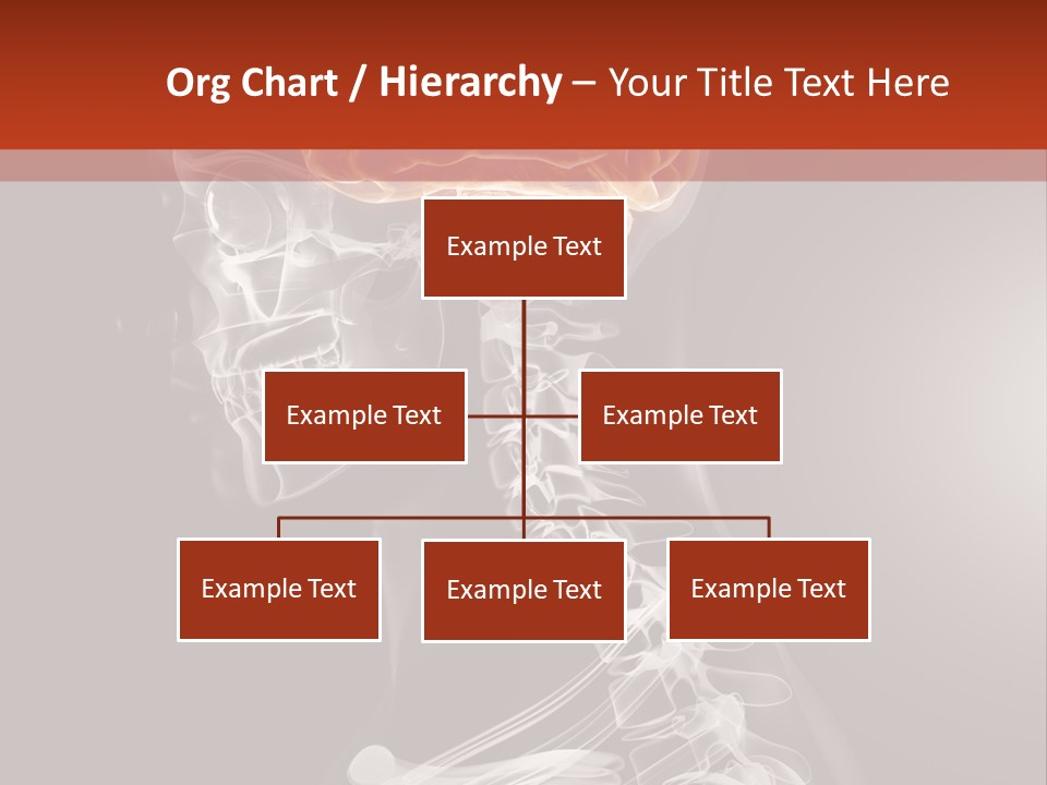 Hospital Health Treatment PowerPoint Template