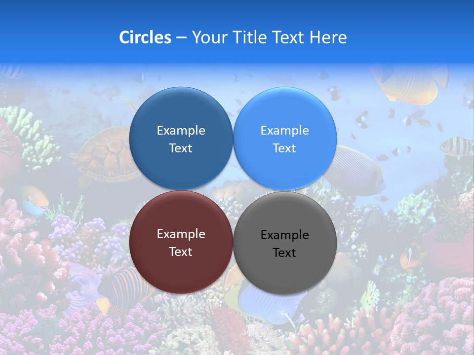 Landscape Hardcoral Dive PowerPoint Template