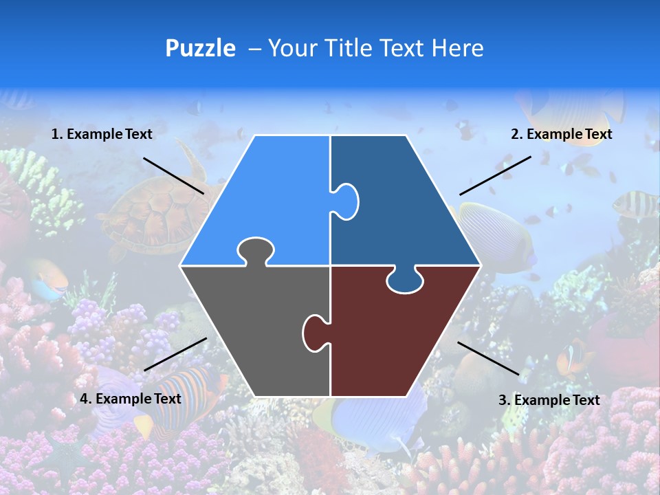 Landscape Hardcoral Dive PowerPoint Template
