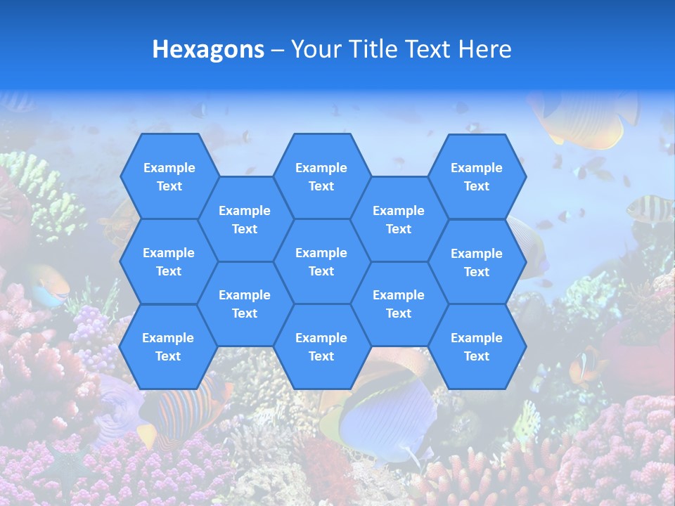 Landscape Hardcoral Dive PowerPoint Template
