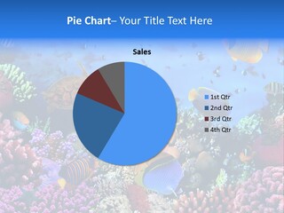 Landscape Hardcoral Dive PowerPoint Template