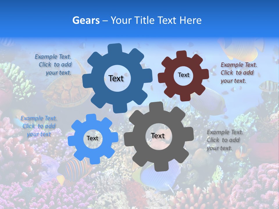 Landscape Hardcoral Dive PowerPoint Template