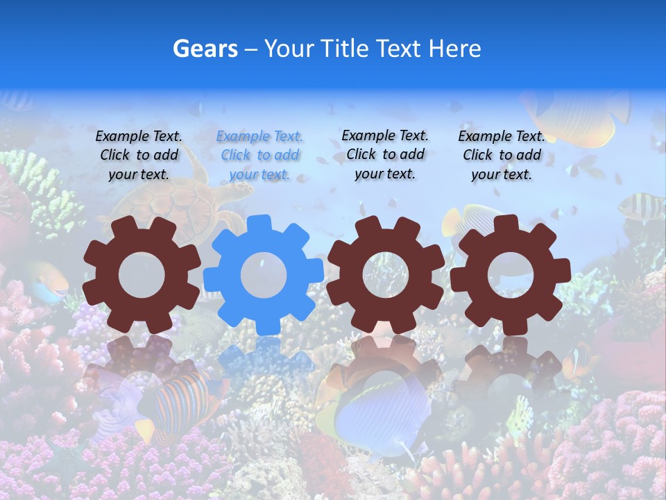 Landscape Hardcoral Dive PowerPoint Template