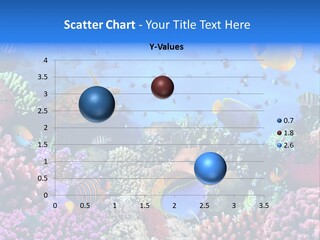 Landscape Hardcoral Dive PowerPoint Template