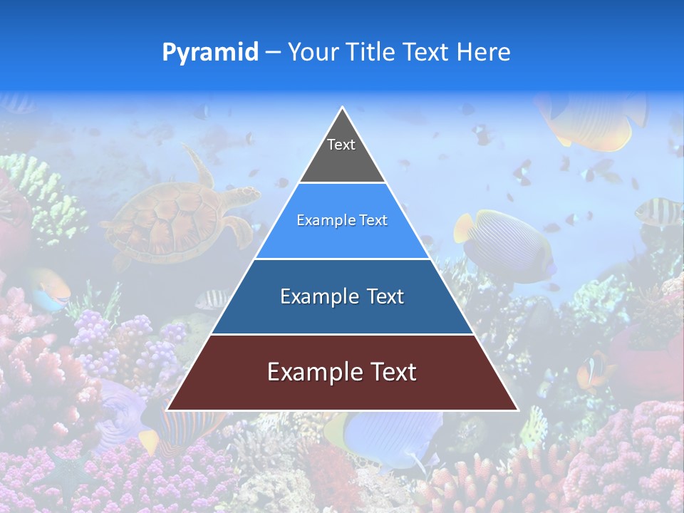 Landscape Hardcoral Dive PowerPoint Template