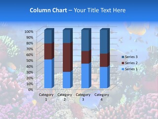 Landscape Hardcoral Dive PowerPoint Template