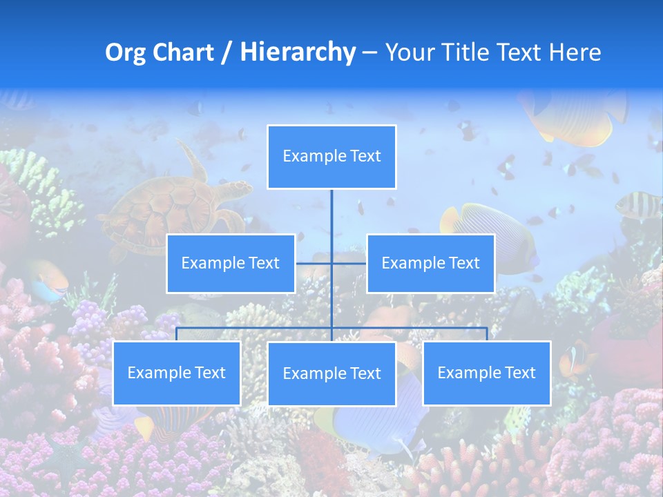 Landscape Hardcoral Dive PowerPoint Template