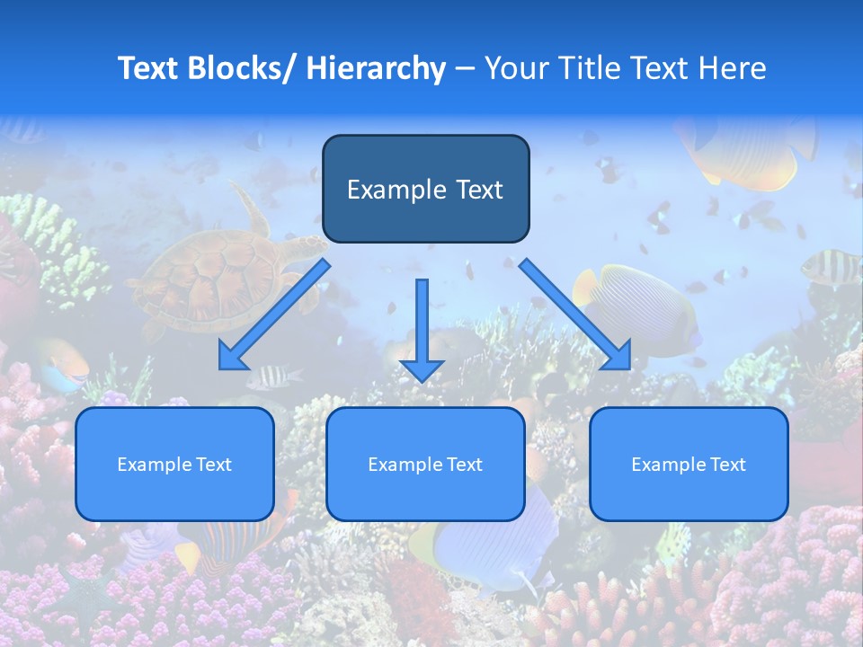 Landscape Hardcoral Dive PowerPoint Template