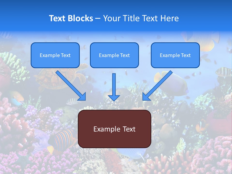 Landscape Hardcoral Dive PowerPoint Template