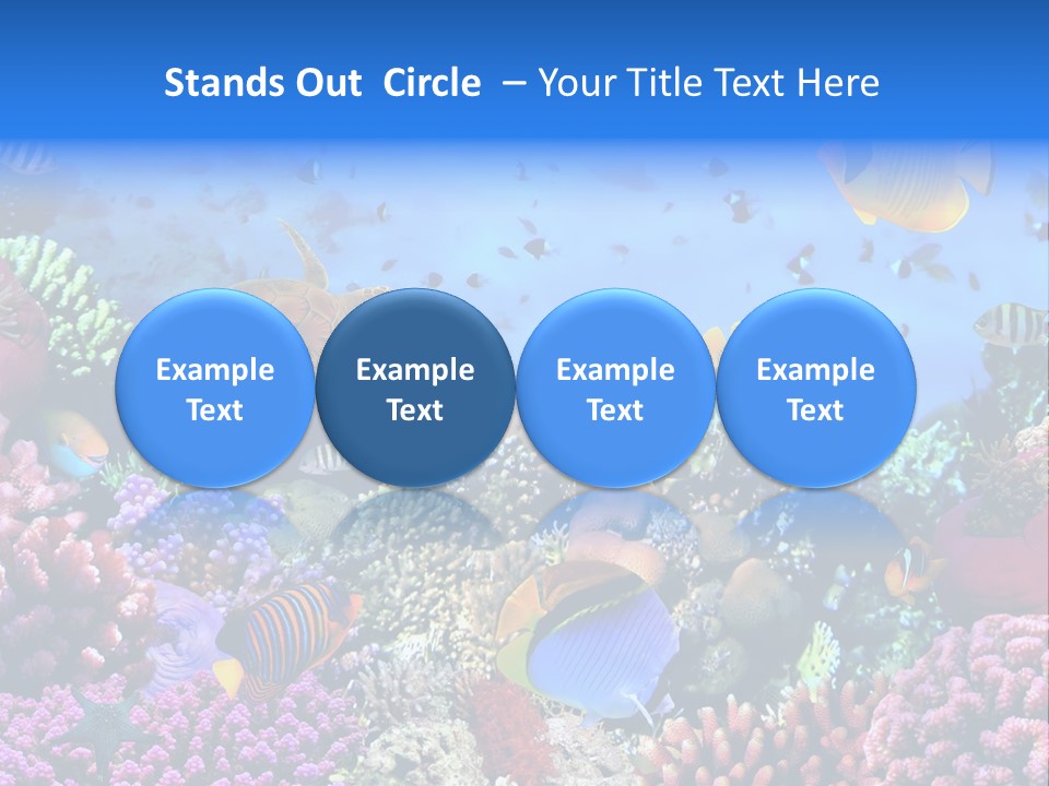 Landscape Hardcoral Dive PowerPoint Template