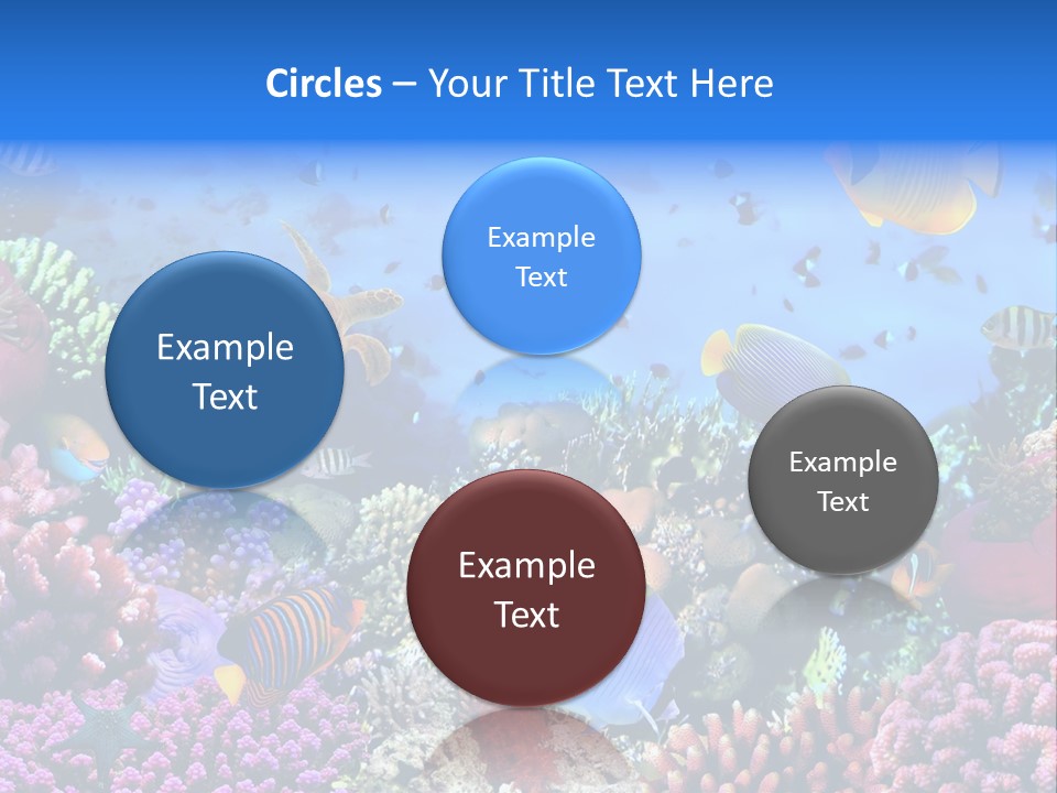 Landscape Hardcoral Dive PowerPoint Template