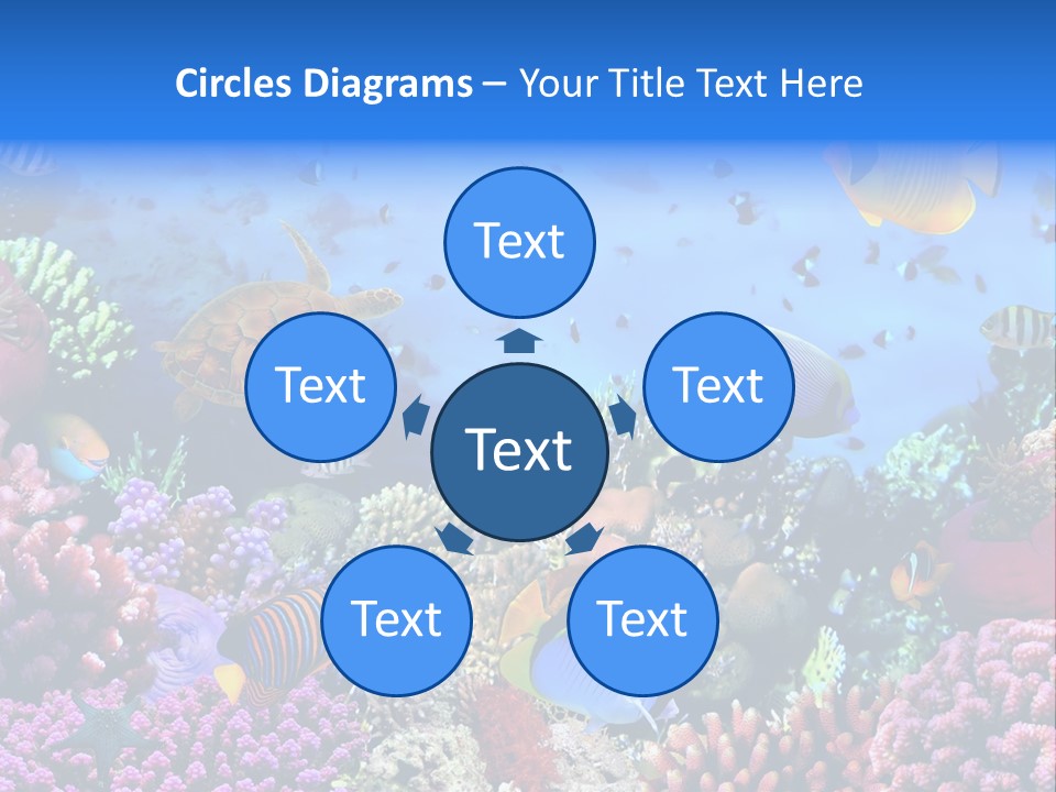 Landscape Hardcoral Dive PowerPoint Template