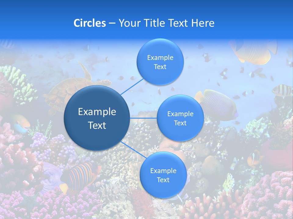 Landscape Hardcoral Dive PowerPoint Template