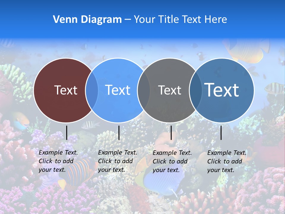Landscape Hardcoral Dive PowerPoint Template
