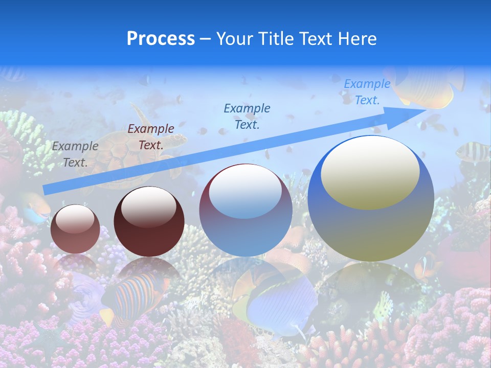 Landscape Hardcoral Dive PowerPoint Template