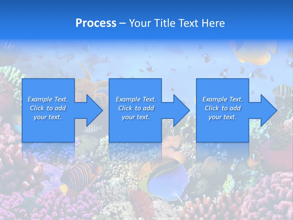 Landscape Hardcoral Dive PowerPoint Template