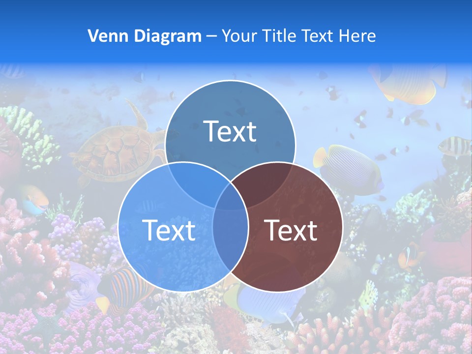 Landscape Hardcoral Dive PowerPoint Template