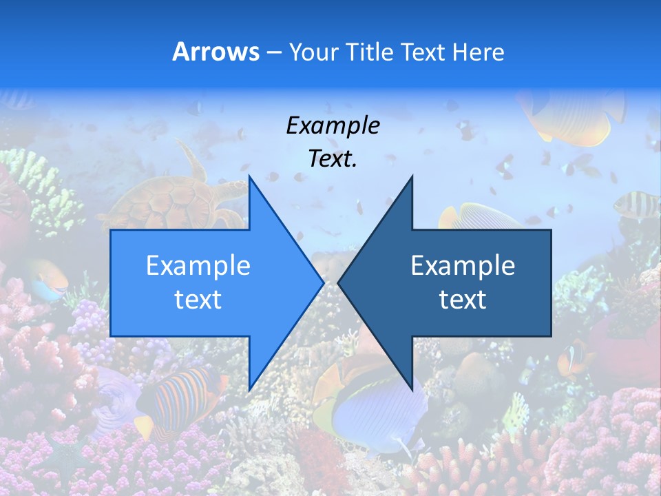 Landscape Hardcoral Dive PowerPoint Template
