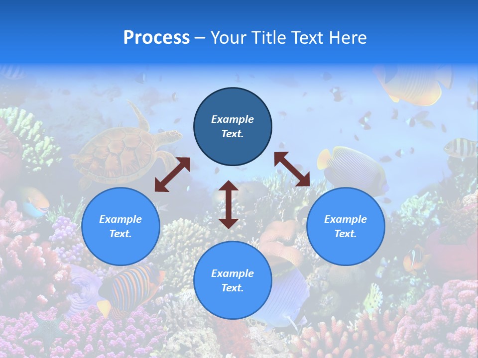 Landscape Hardcoral Dive PowerPoint Template