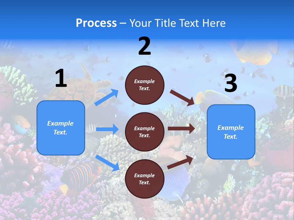 Landscape Hardcoral Dive PowerPoint Template